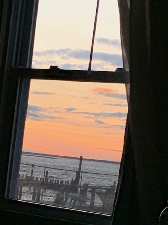 Clegg'S Hotel Ocean Beach Eksteriør billede